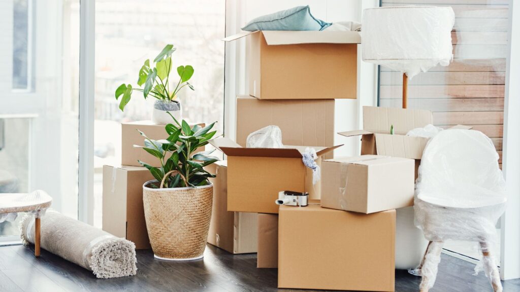 moving boxes